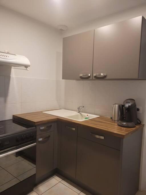 Appartement Sur La Place De Poncin Extérieur photo